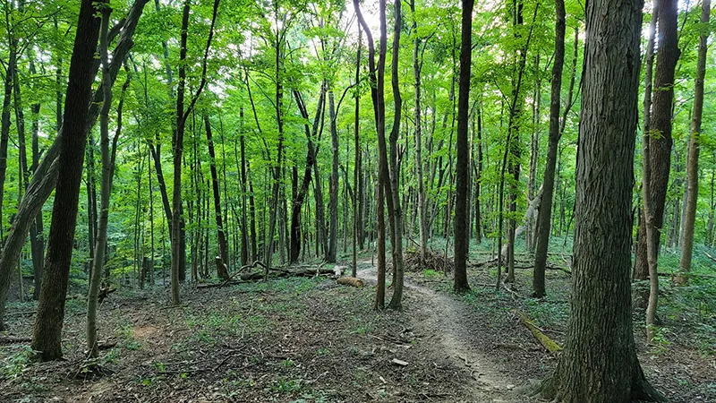 michigan hiking