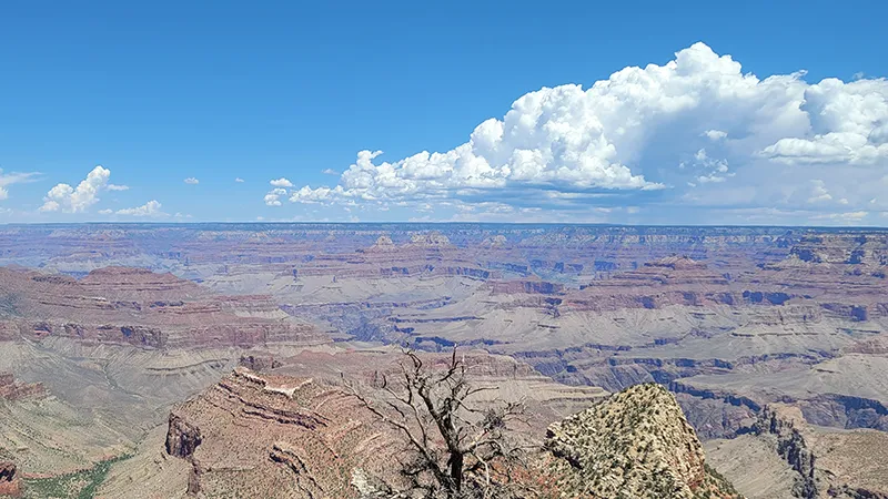 Desert View Drive