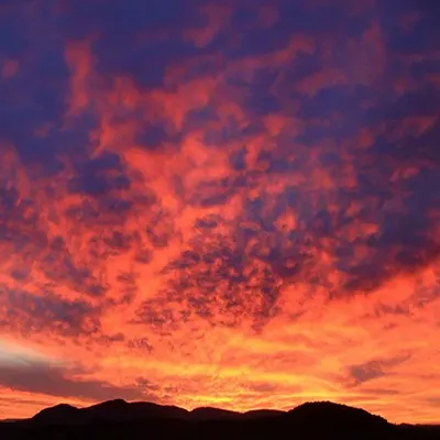 Springerville Things To Do