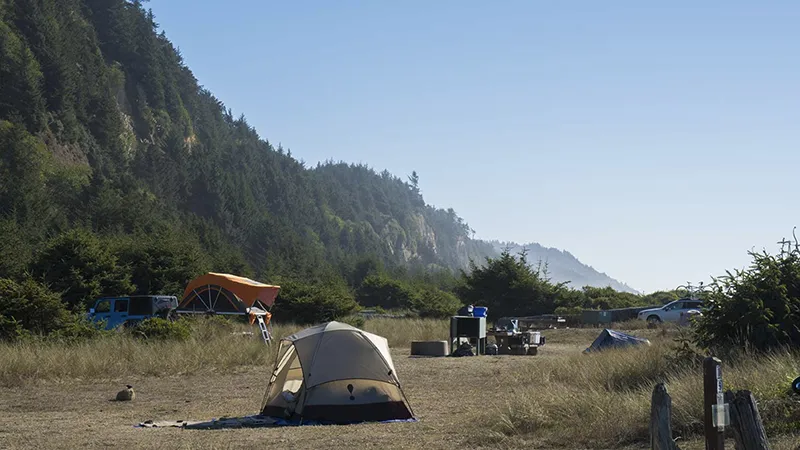 Gold Bluffs Beach