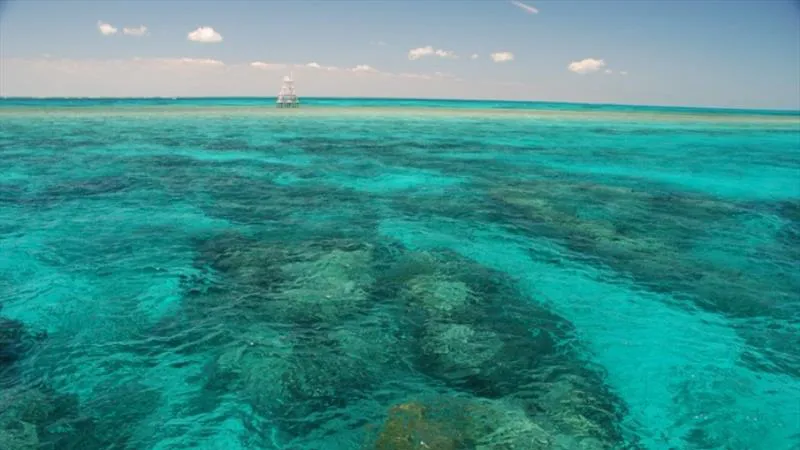 John Pennekamp Coral Reef State Park