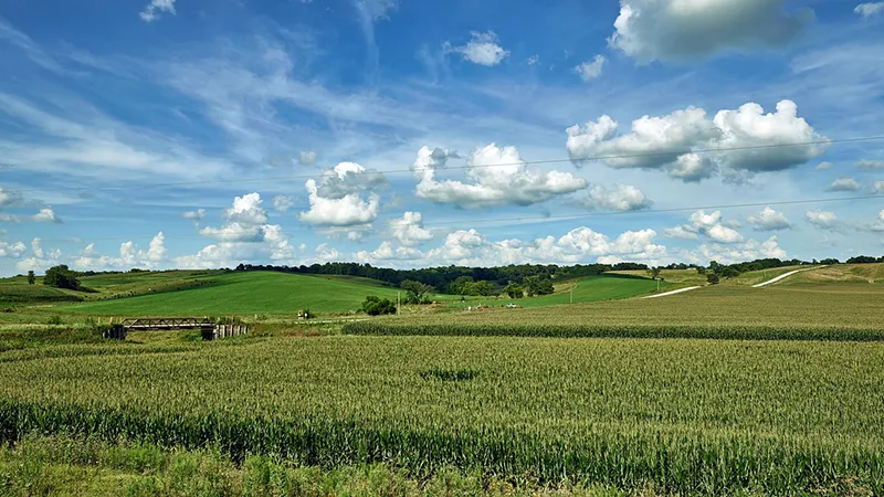 featured image