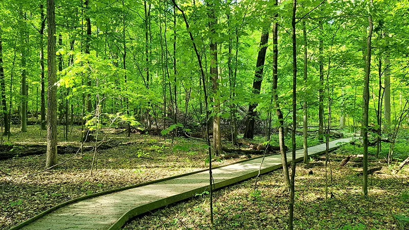 featured image