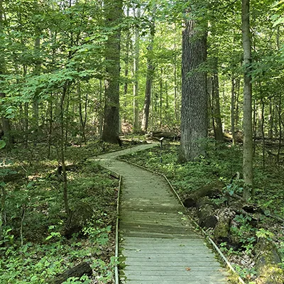 Lafayette Hiking