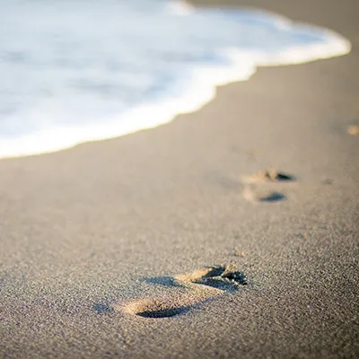 Washington Beaches