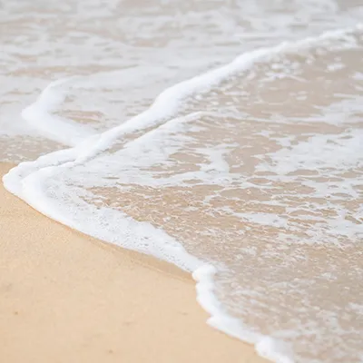 Jackson Beaches