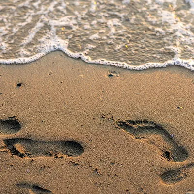 Brookhaven Beaches