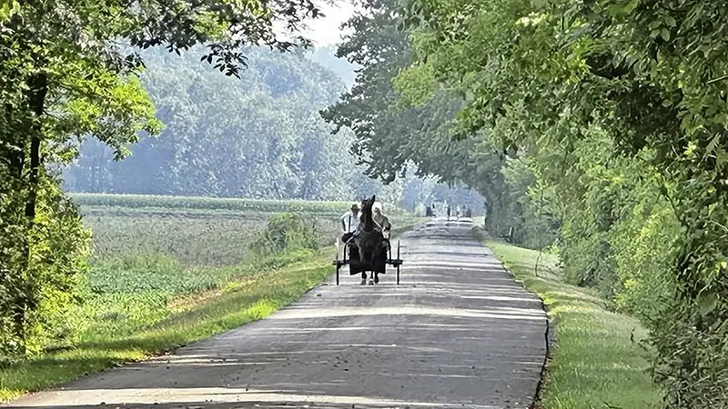 Holmes County Trail