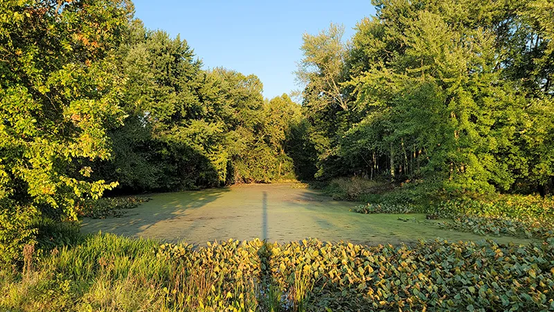 Lower Killbuck Wildlife Area
