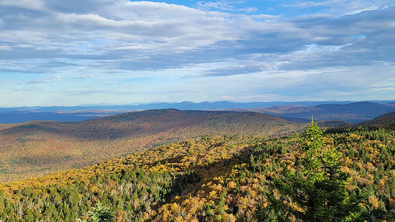 Camels Hump State Park