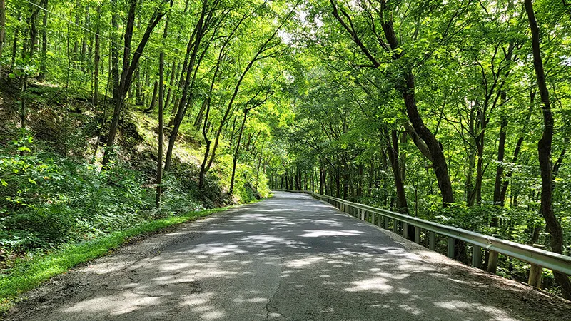 montgomery county