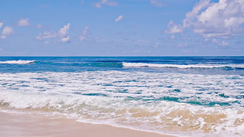 31st Street Beach