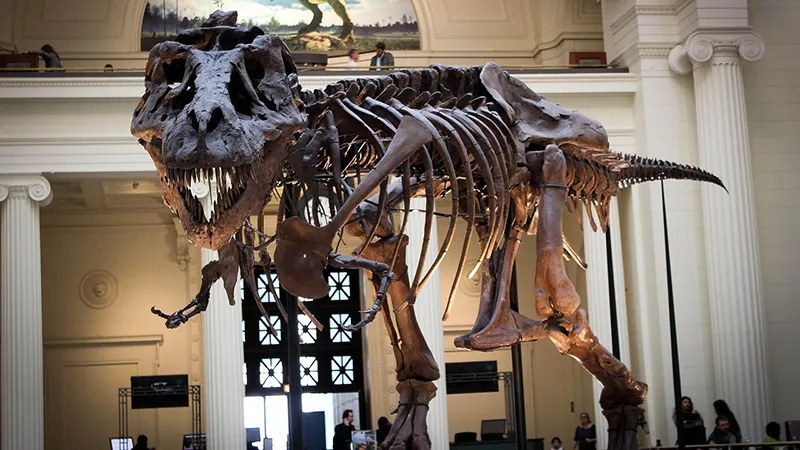 Field Museum