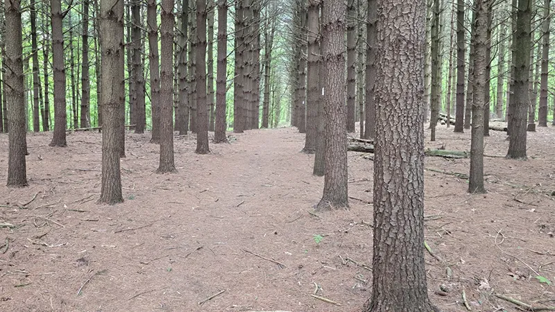 andover Hiking Trail