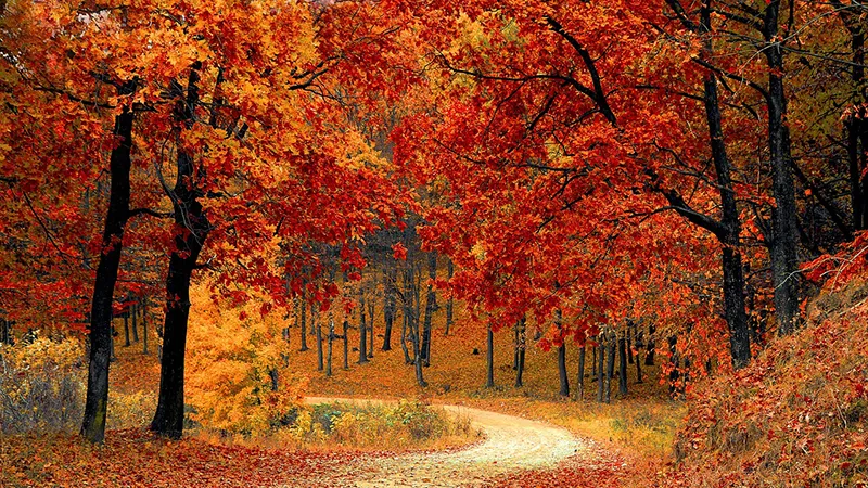 featured image