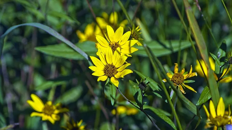 featured image
