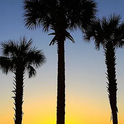 Cedar Key Things To Do